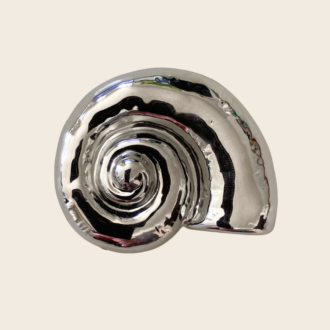 Broche argentée N.1