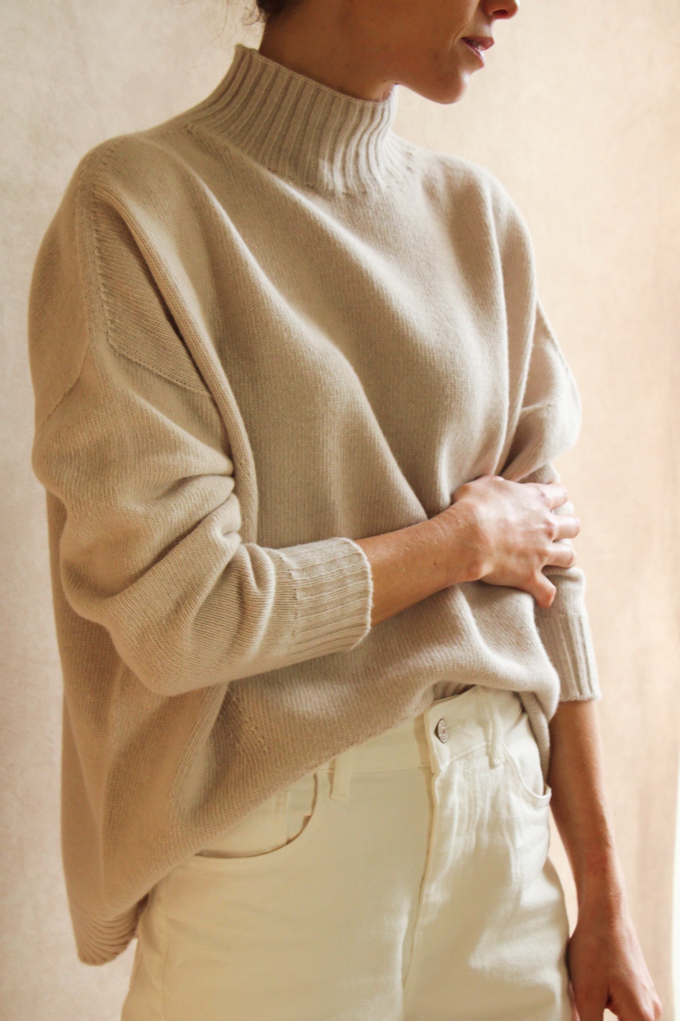 Le Pull col Roulé Poudre