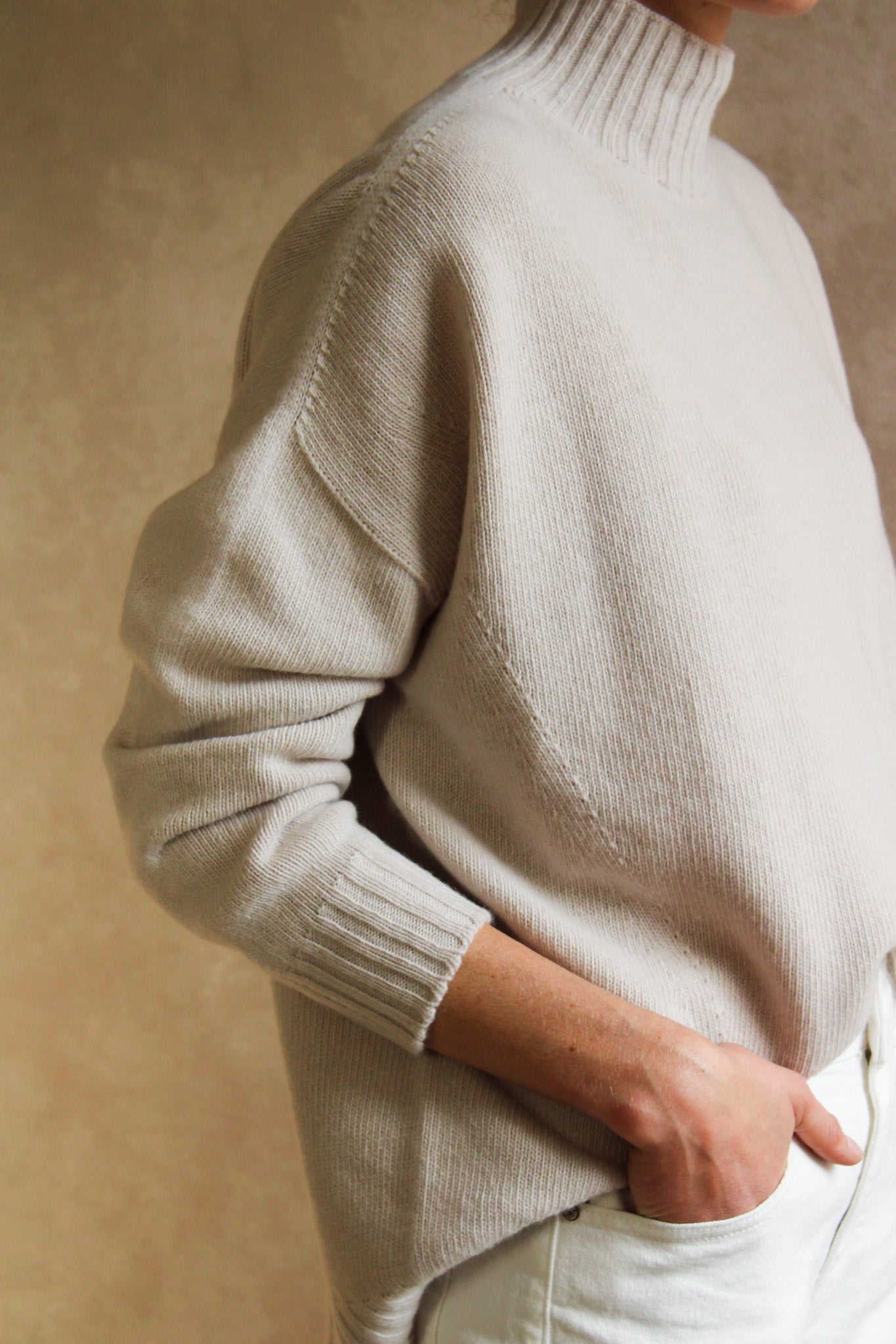 Le Pull col Roulé Poudre