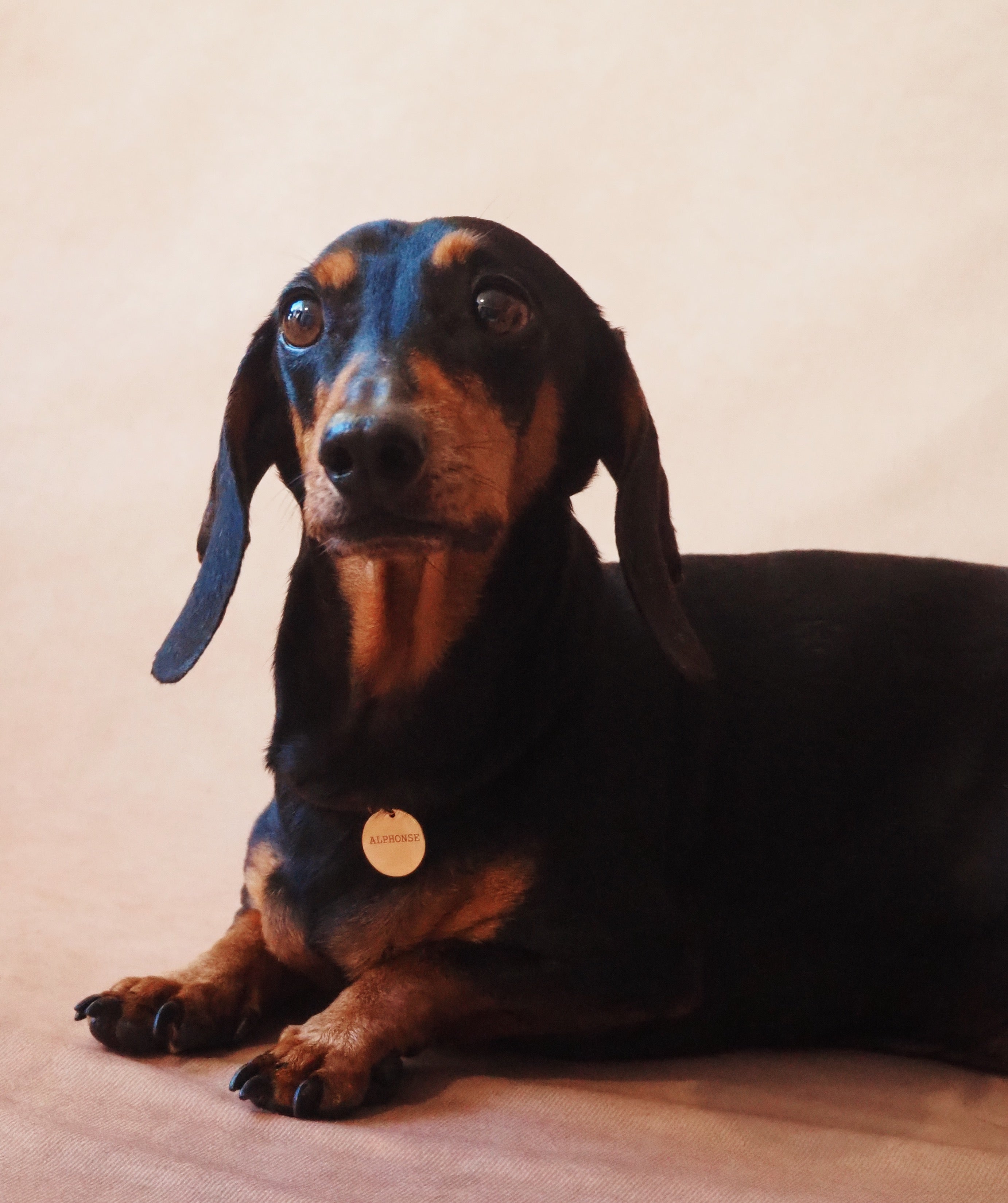 Collier médaille gravée Vert Tilleul