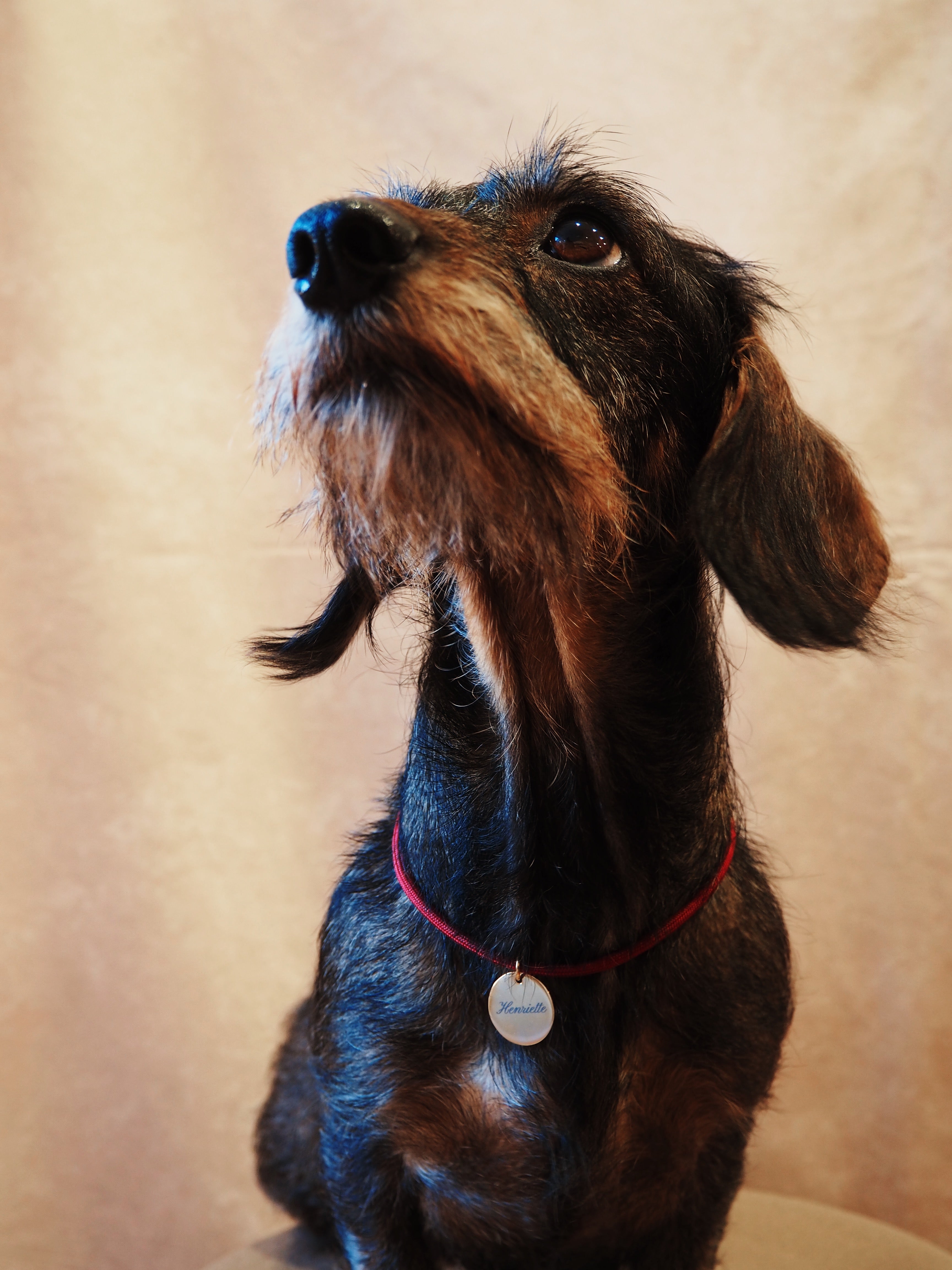 Collier médaille gravée Orange